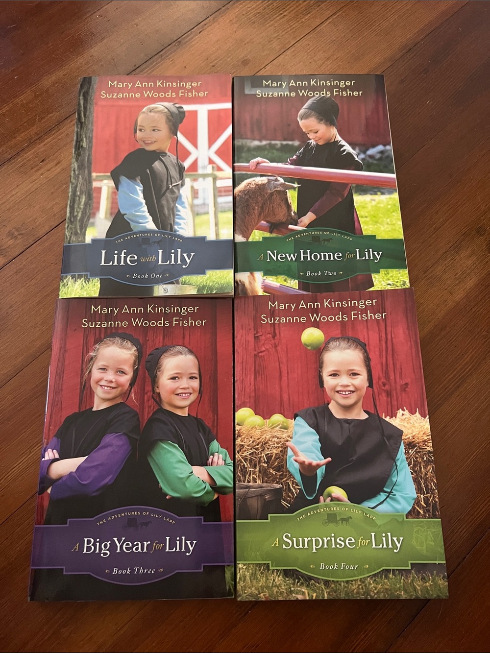 Kid’s Books: The Adventures of Lily Lapp Book Set
